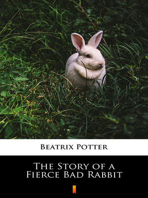 cover image of The Story of a Fierce Bad Rabbit